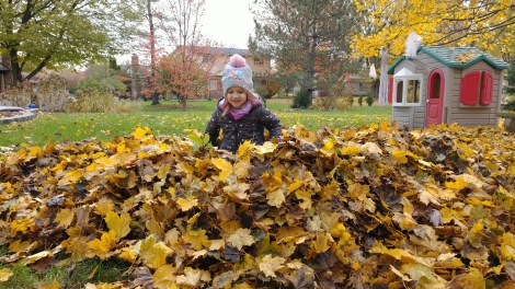 IMG_20181104_100348021