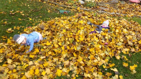 IMG_20181104_100533866