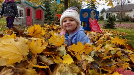 IMG_20181104_100827291_HDR