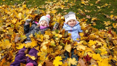 IMG_20181104_100859166_BURST001