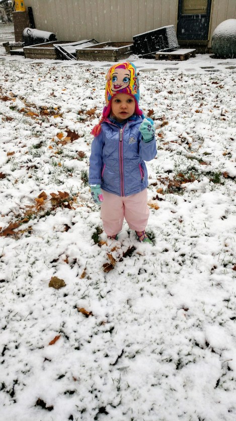 IMG_20181109_083123014