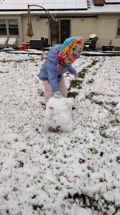 IMG_20181109_083812394_HDR