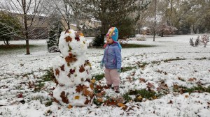 IMG_20181109_084052727_HDR