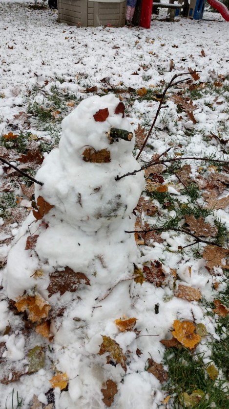 IMG_20181109_085347424_HDR