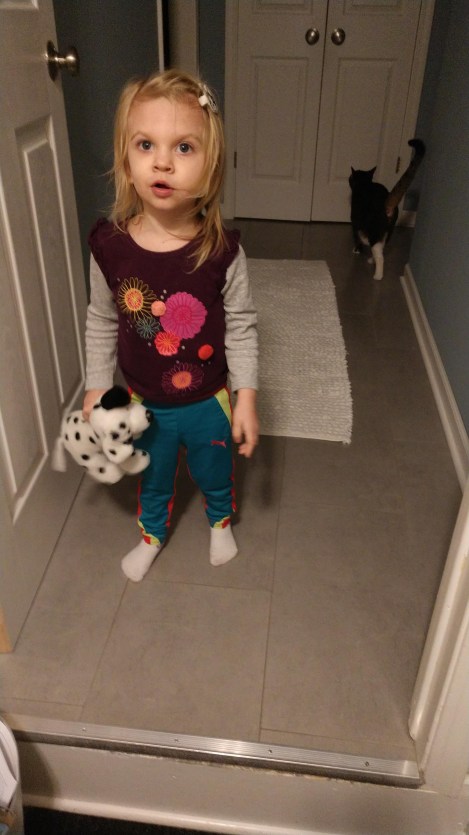 IMG_20181115_175945284_BURST011