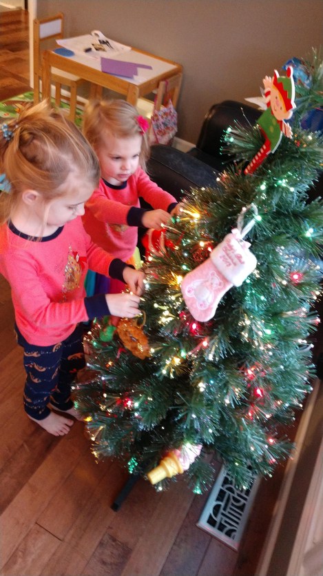 IMG_20181123_161915138_BURST006