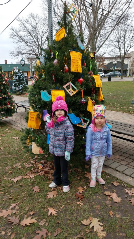 IMG_20181125_105030730_HDR