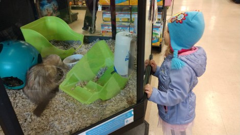 IMG_20181216_105322508