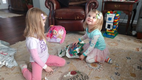 IMG_20181218_152446228