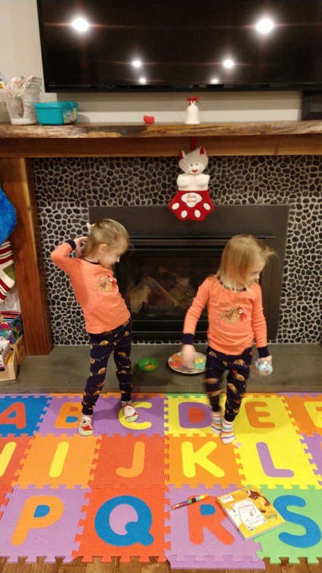 IMG_20181224_210333891_BURST000_COVER