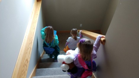 IMG_20181228_120442772_BURST000_COVER