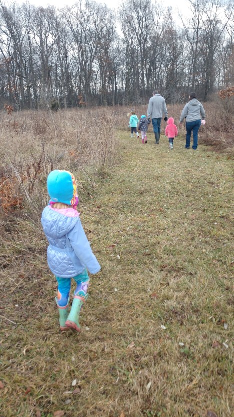 IMG_20181228_123046414