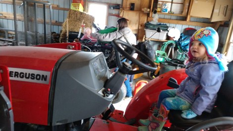 IMG_20181228_123511325_BURST000_COVER