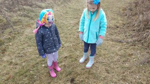 IMG_20181228_123532846