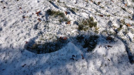 IMG_20181230_122339561_HDR