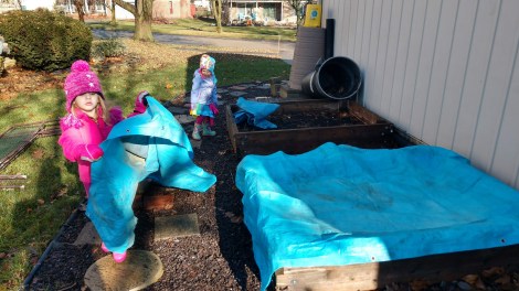 IMG_20181202_110224869_HDR