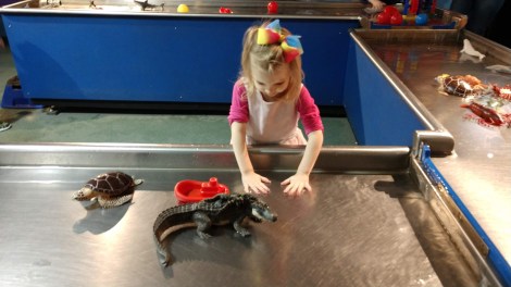 img_20190104_114812916