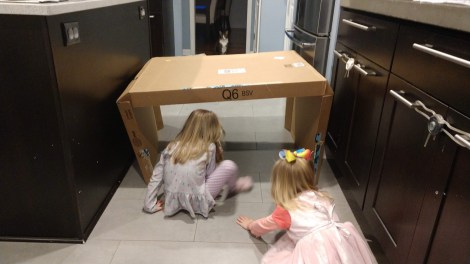 img_20190111_171658554