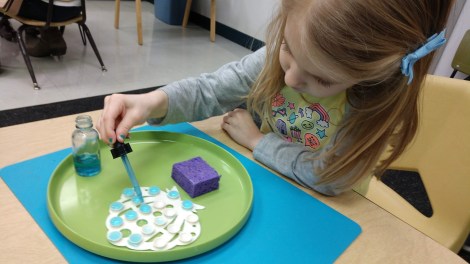 img_20190117_184508987