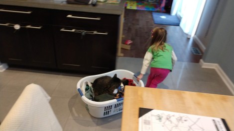 img_20190124_153800644