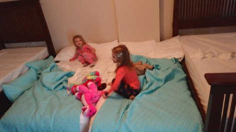 img_20190127_092800258