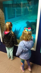 img_20190127_105923448