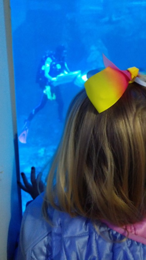 img_20190127_110902799