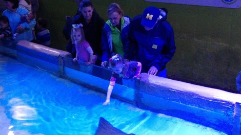 img_20190127_111328929_burst000_cover