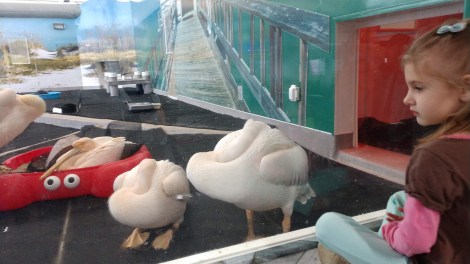 img_20190127_111958833