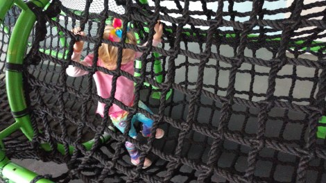 img_20190127_112442098_burst000_cover