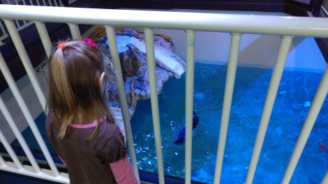 img_20190127_112505168