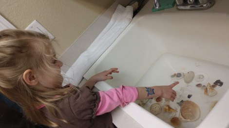 img_20190127_161619705