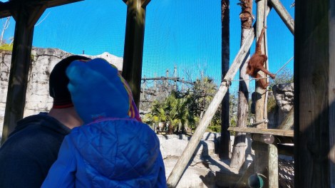 img_20190128_102659729_hdr