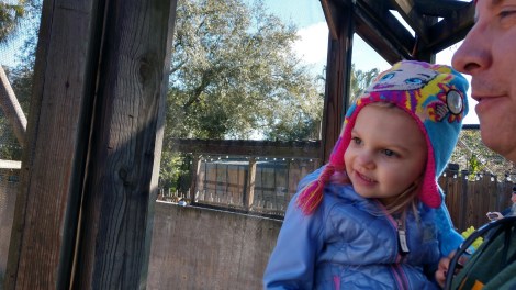 img_20190128_102722720_hdr