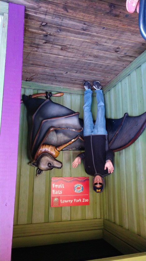 img_20190128_104951022