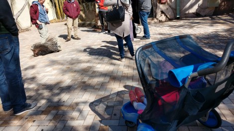 img_20190128_112222108_hdr