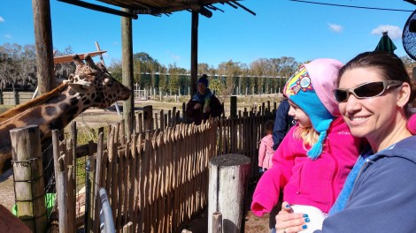 img_20190128_113058079_hdr