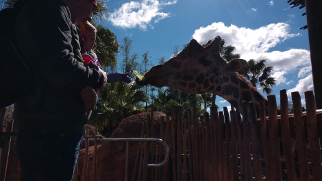 img_20190128_113648105_burst000_cover