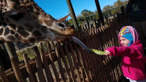 img_20190128_113715518_burst000_cover