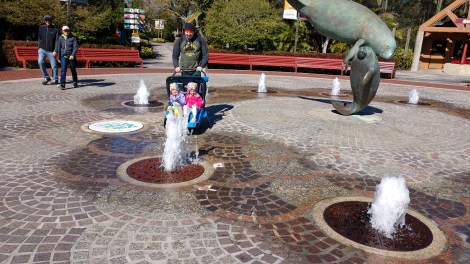 img_20190128_115205318_burst000_cover