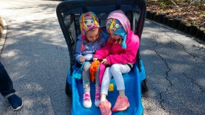 img_20190128_123518372_hdr