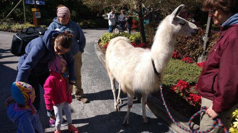 img_20190128_124414558_burst000_cover