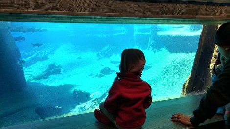 img_20190128_130522840_hdr