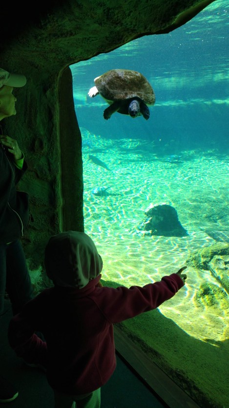 img_20190128_130739591