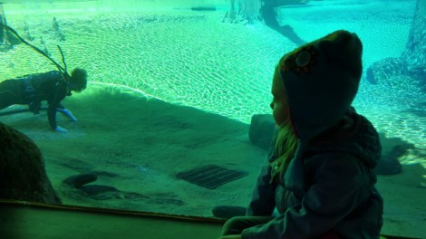 img_20190128_131237971_hdr