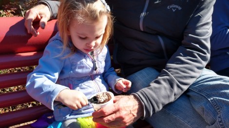 img_20190128_133145554_hdr