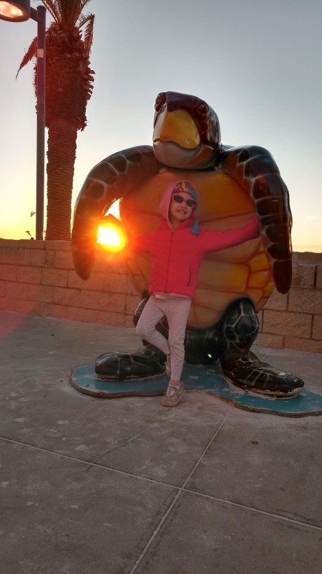 img_20190128_175655194_hdr