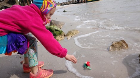 img_20190131_121137269_burst000_cover