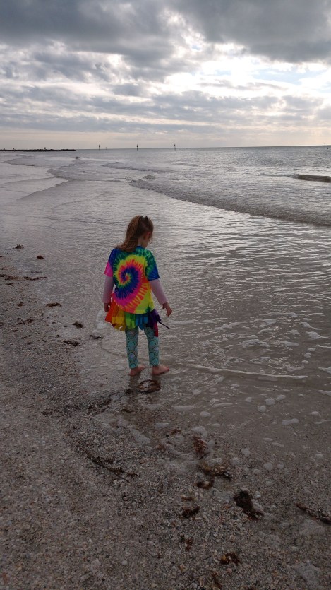 img_20190131_155728425