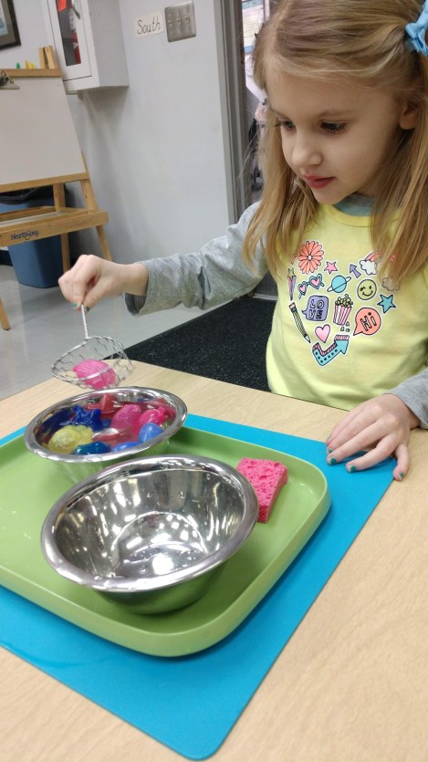 mvimg_20190117_183739483